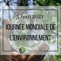 Journee mondiale de l environnement intro site